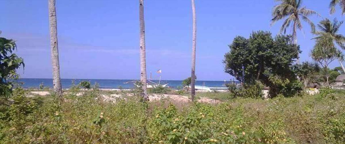 Beachfront Property in Carabao Island