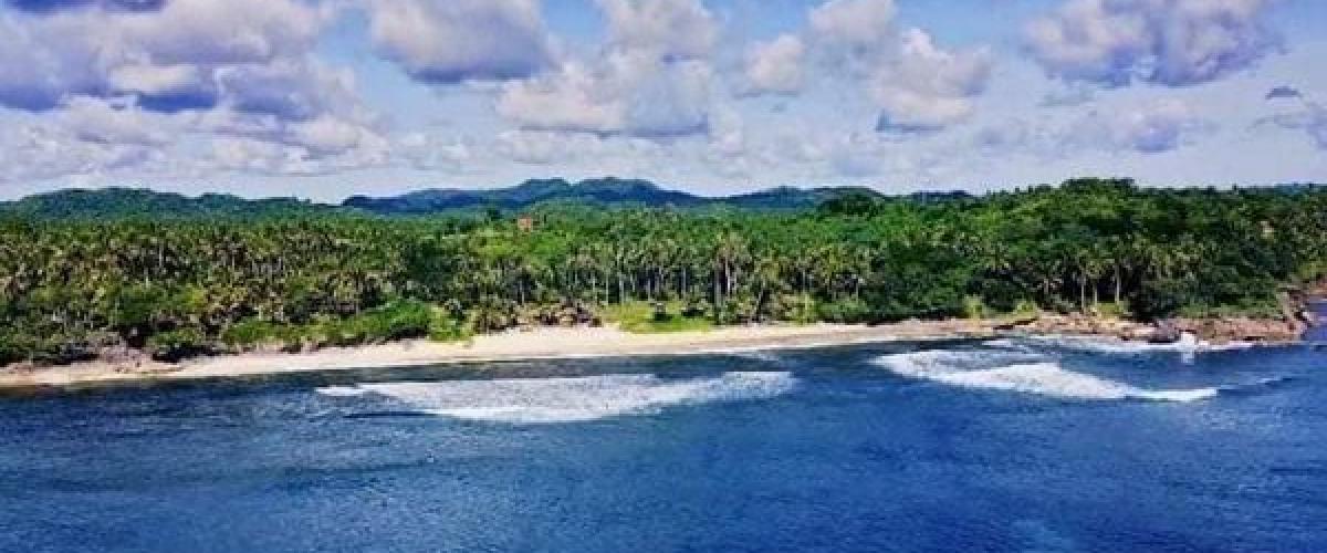 3 Hectares Titled Beachfront Property in Surigao