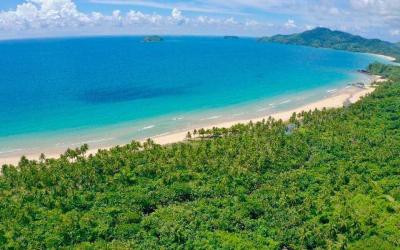 6 Hectares Beachfront Paradise For Sale